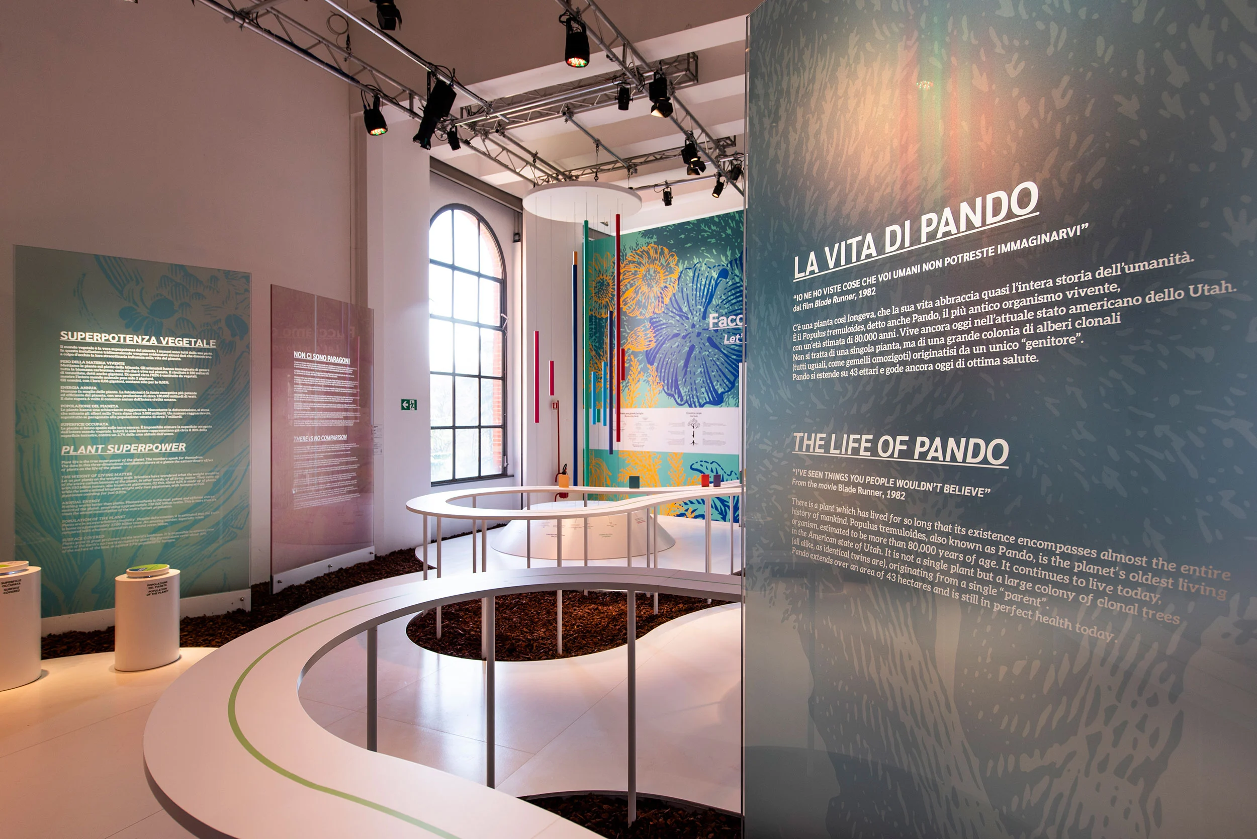 Exhibition room with a curving white bench, text panels on plant life and lights on overhead trusses – La Nazione delle Piante at Triennale, Milan, Italy, 2019 – exhibition design