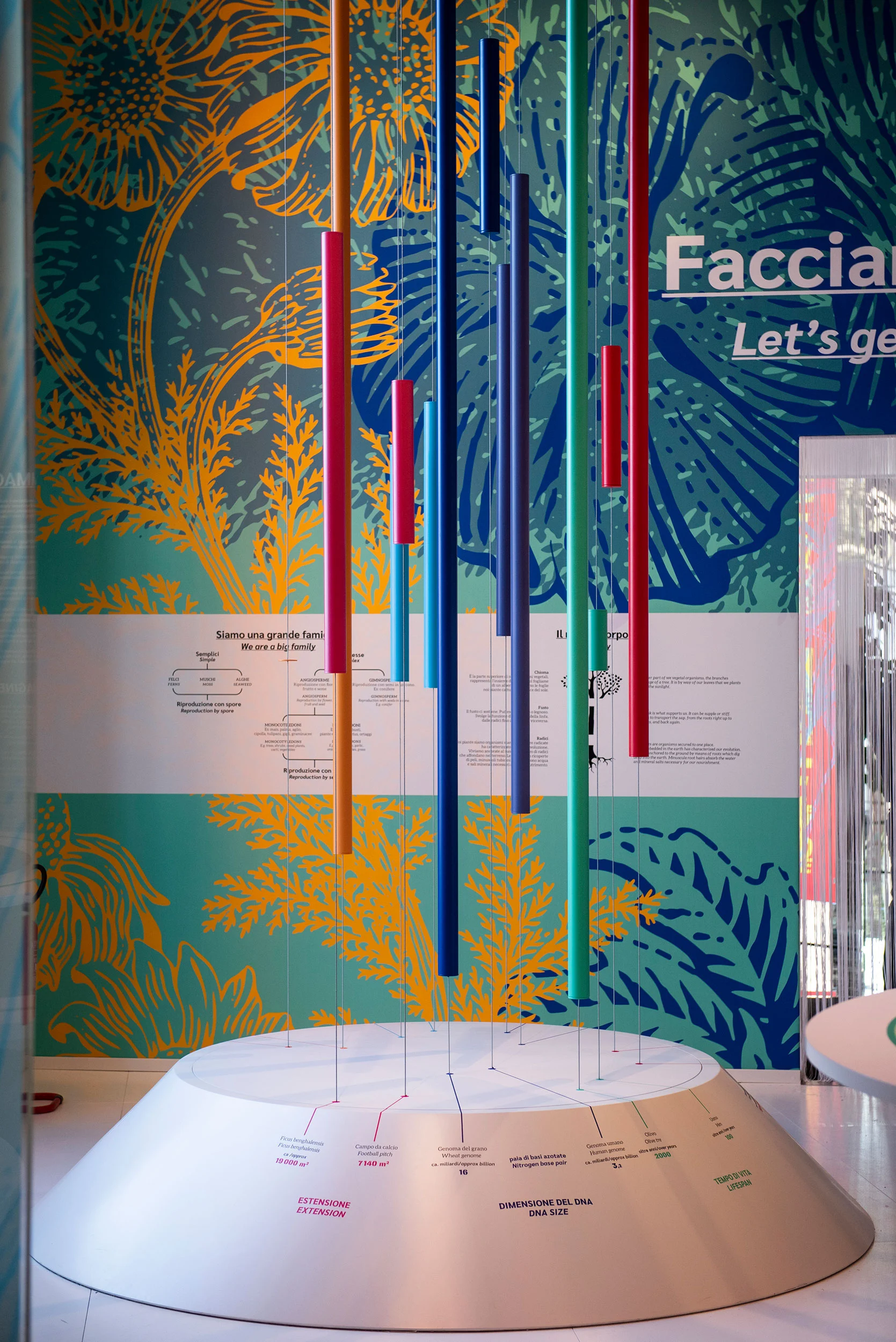 Colourful suspended tubes over a white round base, in front of a wall with large plant illustrations – La Nazione delle Piante at Triennale, Milan, Italy, 2019 – exhibition design