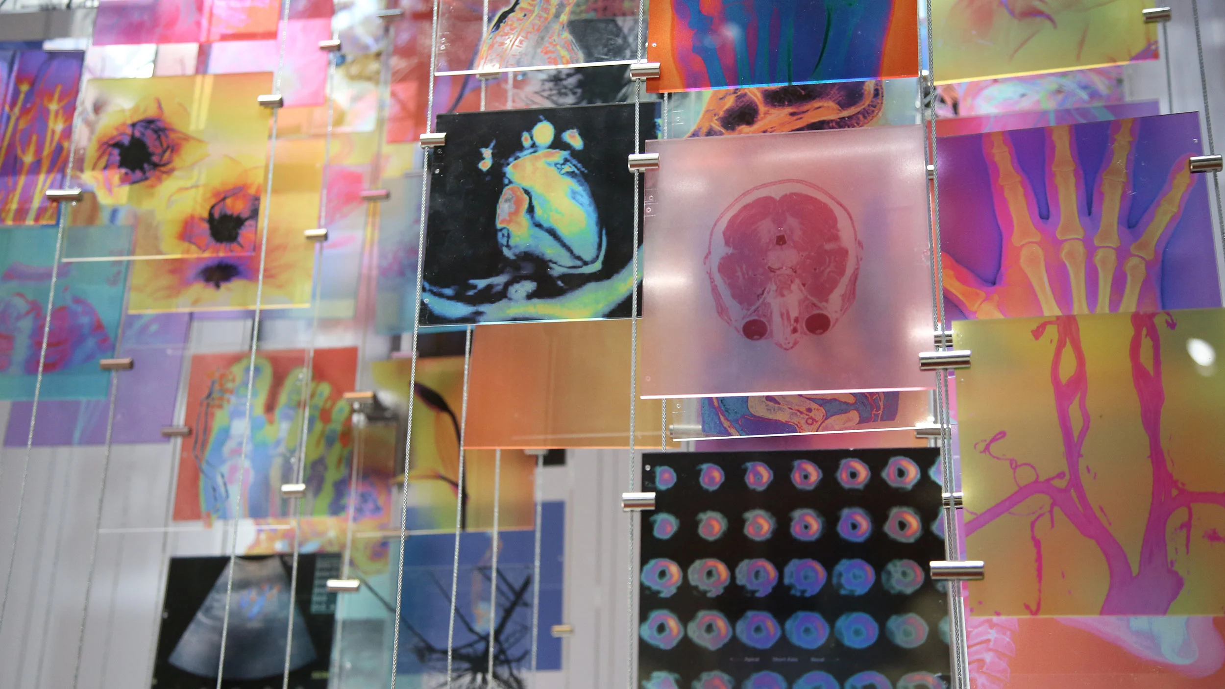 Close-up of colourful medical scans printed on suspended glass panels – Bracco The Beauty of Imaging, Milan, Italy, 2017 – exhibition design