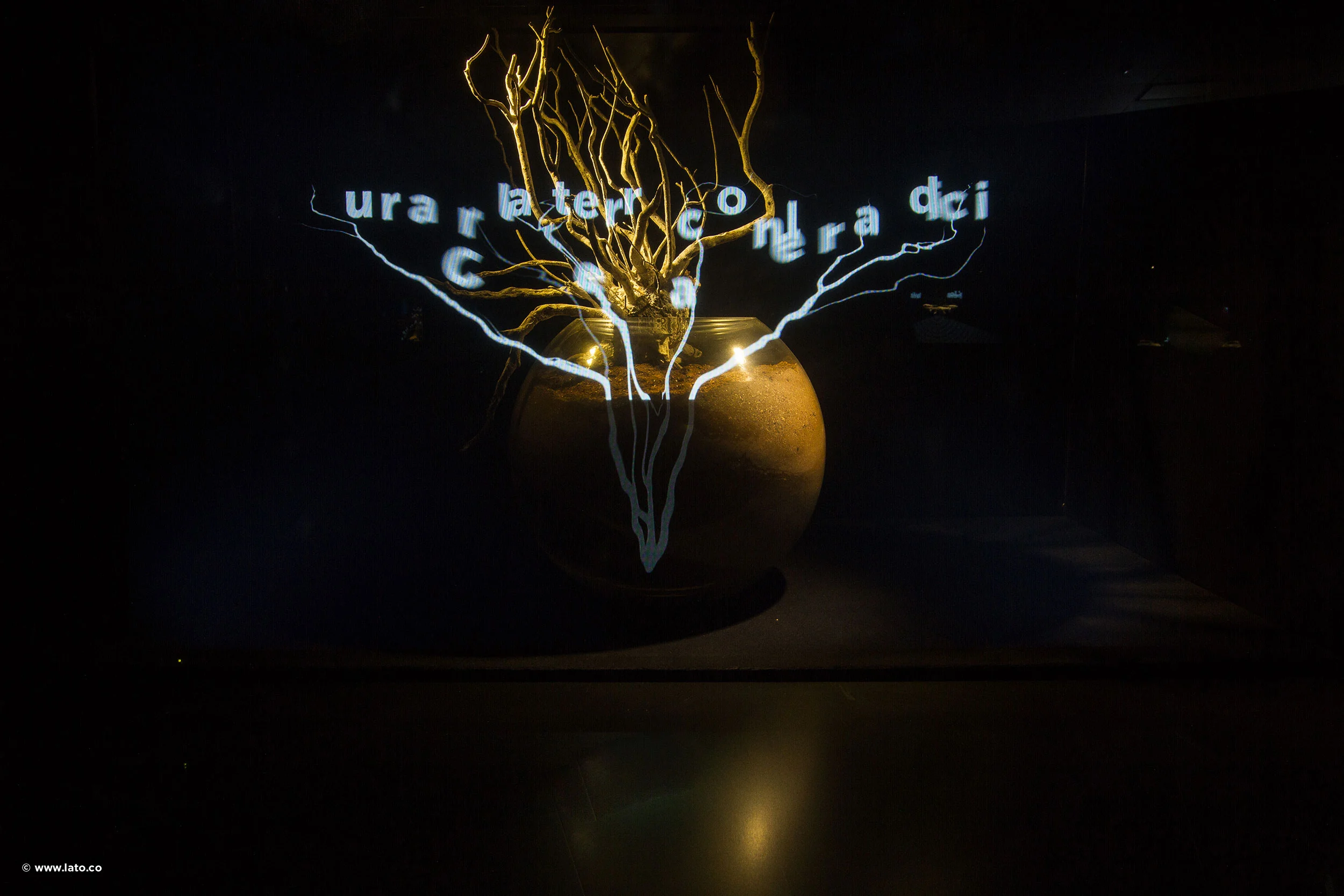 Clay vase with golden branches and projected lines of text and light roots on a black background – Italian Pavilion at Expo 2015, Milan, Italy – exhibition design