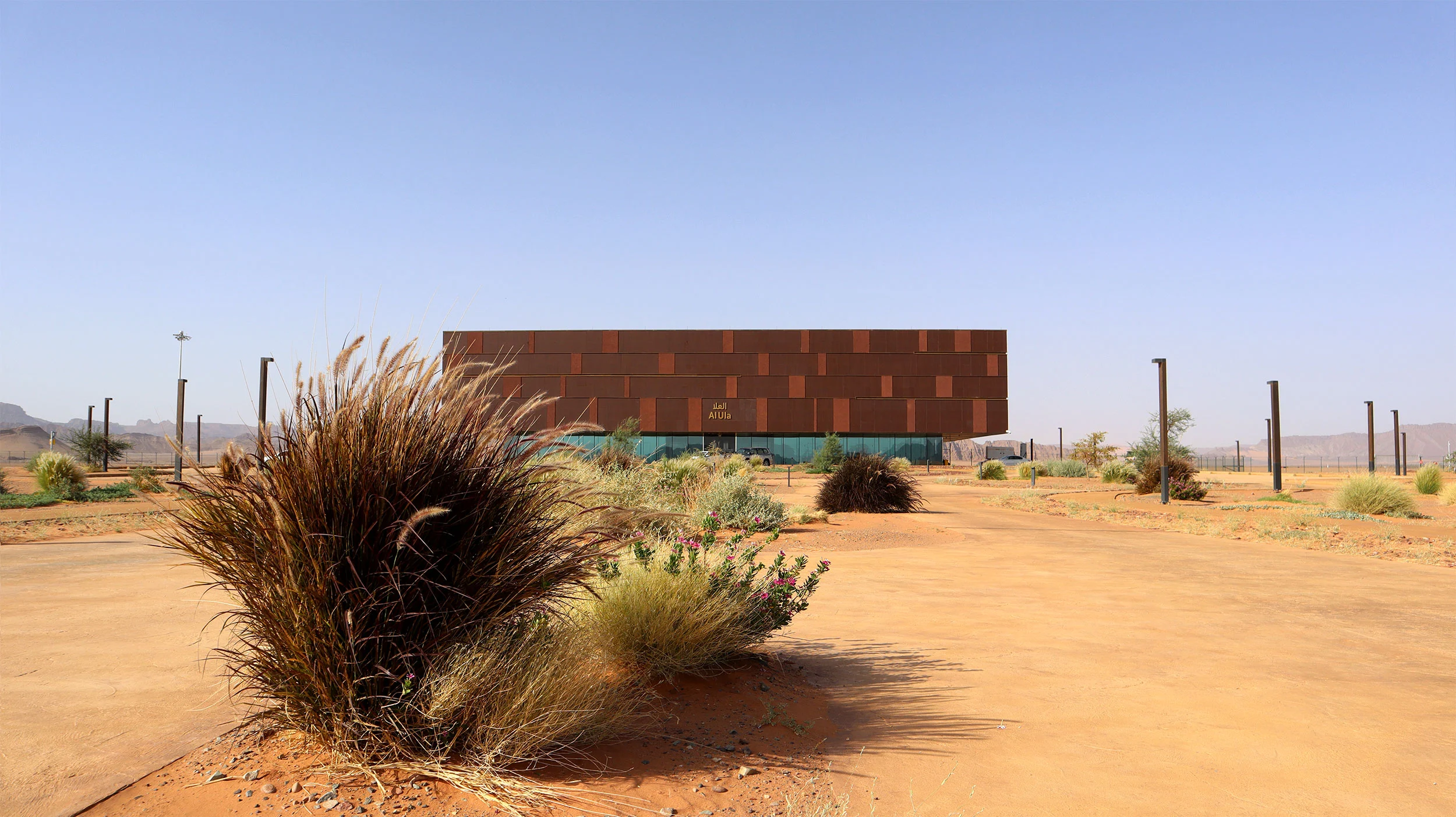 The terminal seen beyond a clump of desert grasses under a clear blue sky – Prince Abdul Majeed bin Abdulaziz Airport, AlUla, Saudi Arabia, 2021 – architecture