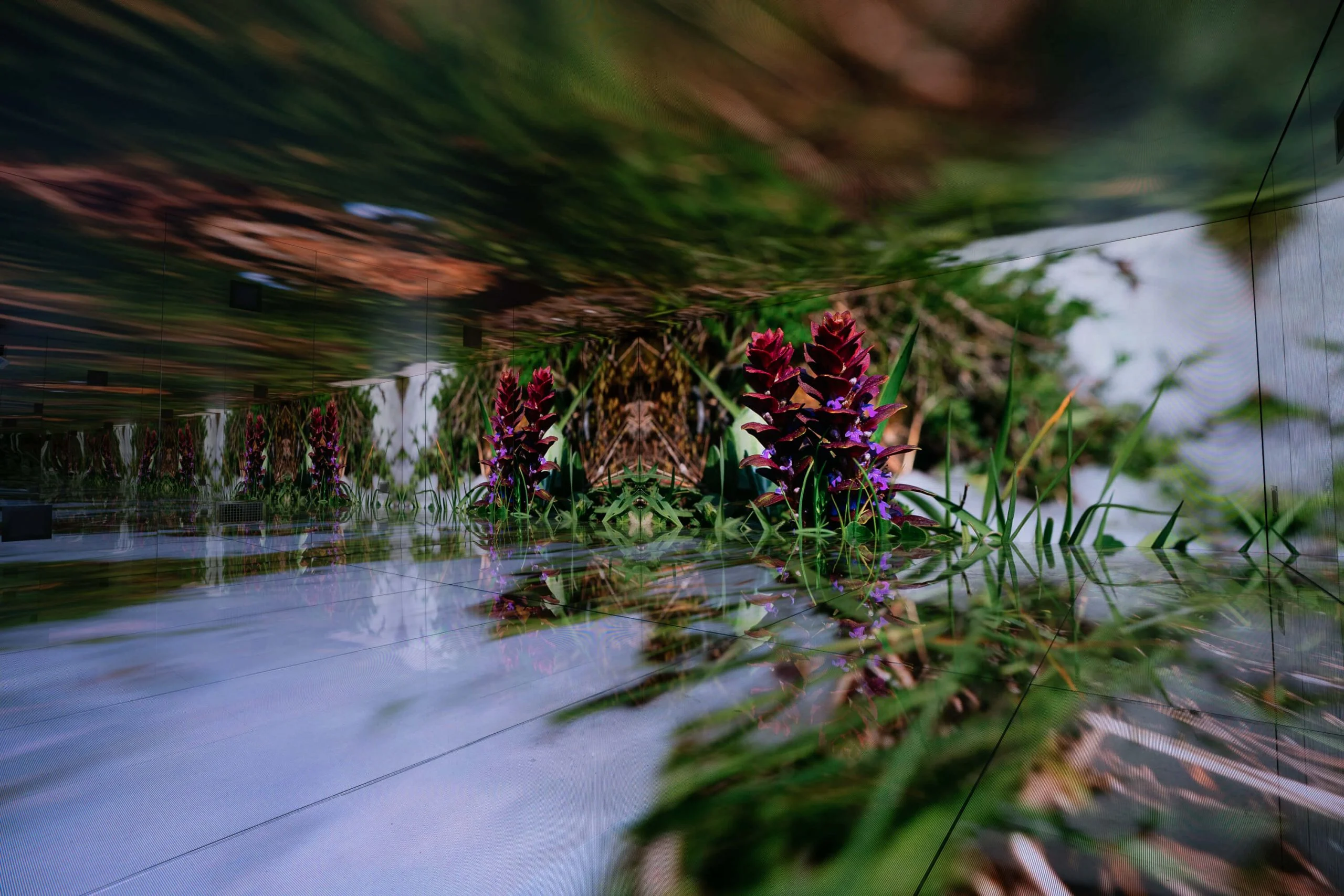 Close-up of a mountain meadow with purple flowers and grass on the LED screens, multiplied by mirrors – Mont Blanc Infinity Room at Skyway, Courmayeur, Italy, 2023 – installation design