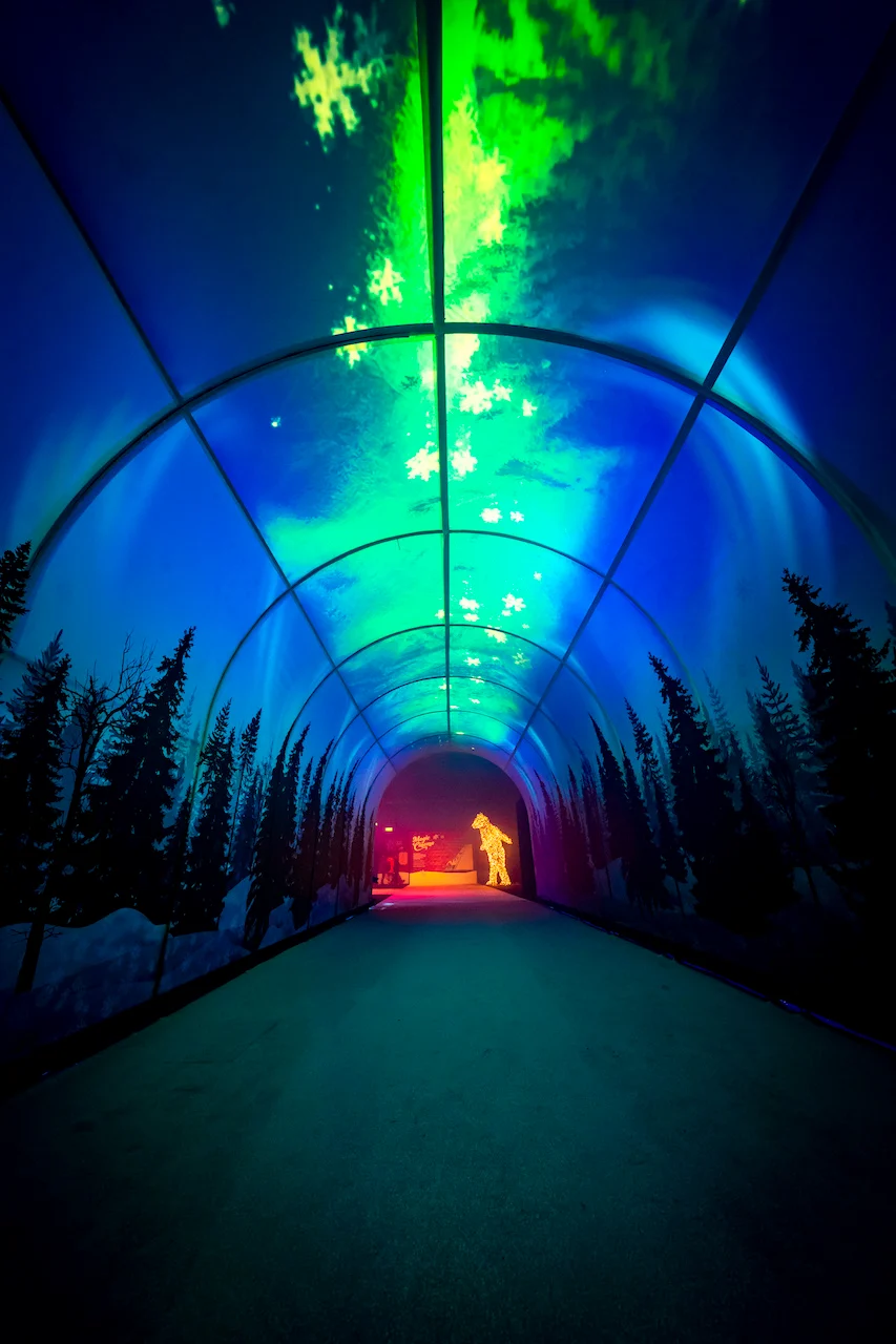 Arched tunnel with projected snowflakes and northern lights over a forest of pine silhouettes – A Christmas Magic at Allianz MiCo, Milan, Italy, 2023 – event design