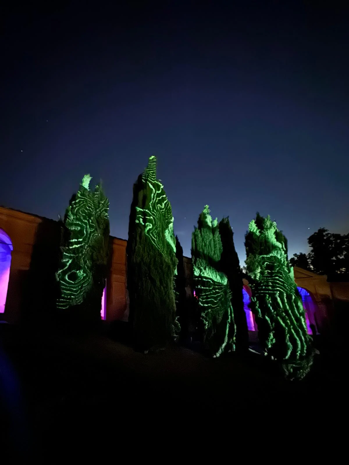 Row of cypress trees at night lit with green wavy projected patterns against a dark blue sky – Cesare Cremonini Festival dei Portici, Bologna, Italy, 2024 – event design