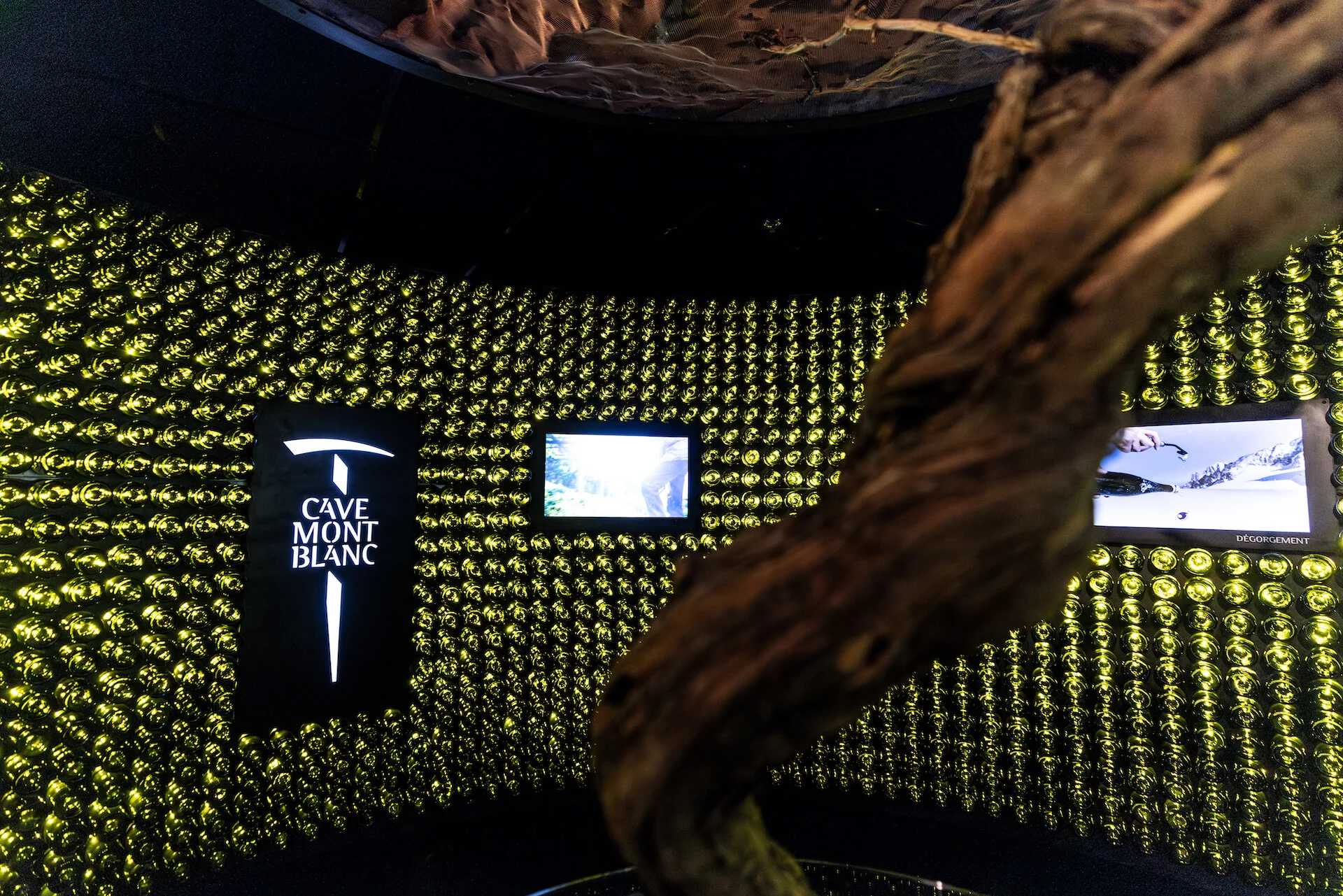 Close-up of a twisted vine trunk before the curved bottle wall with the Cave Mont Blanc logo and screens – Cave Mont Blanc Winery at Skyway, Courmayeur, Italy, 2025 – interior and exhibition design