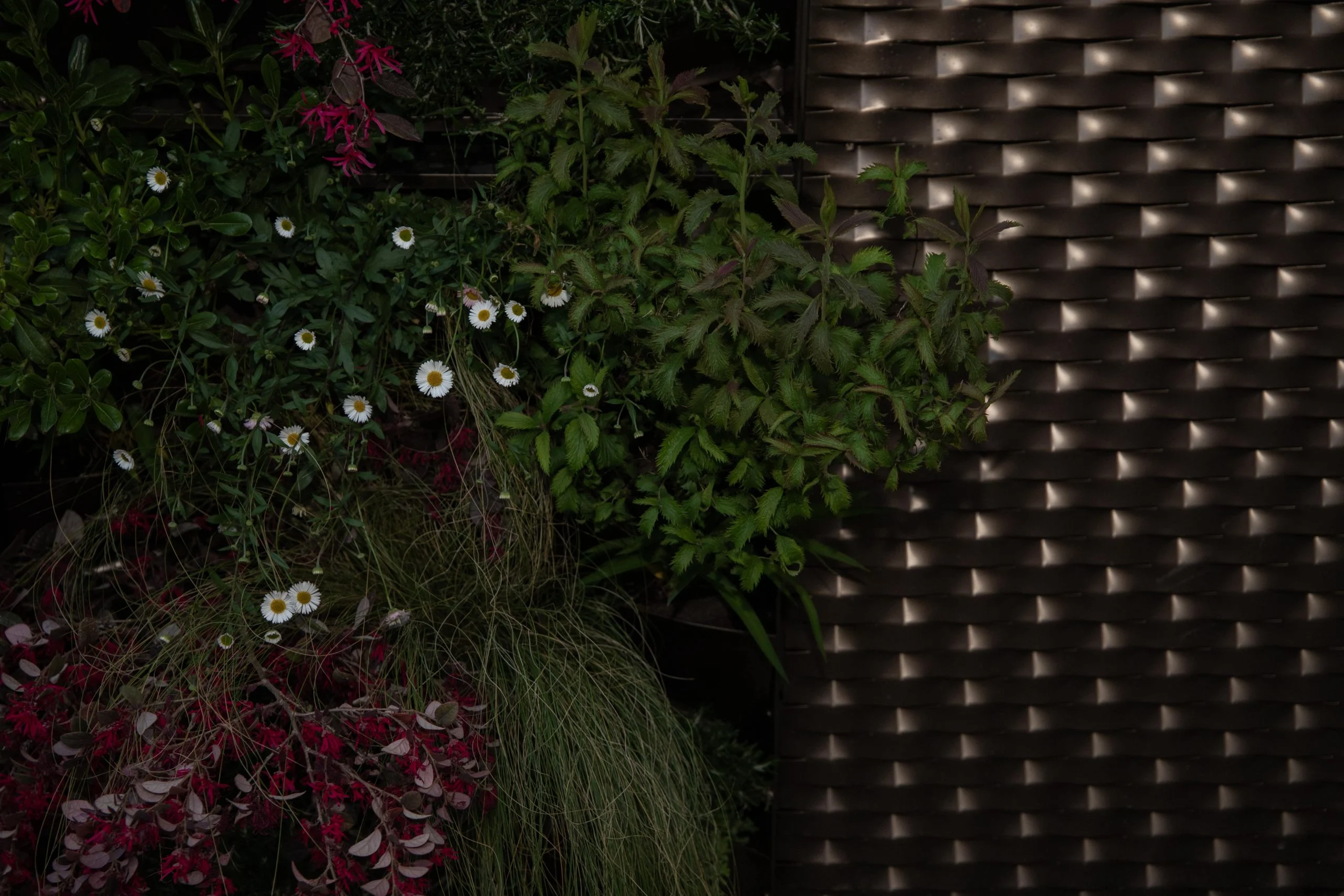 Flowering plants beside a woven dark metal mesh panel lit at night – Everything Is a Party at Fuorisalone, Milan, Italy, 2025 – event design