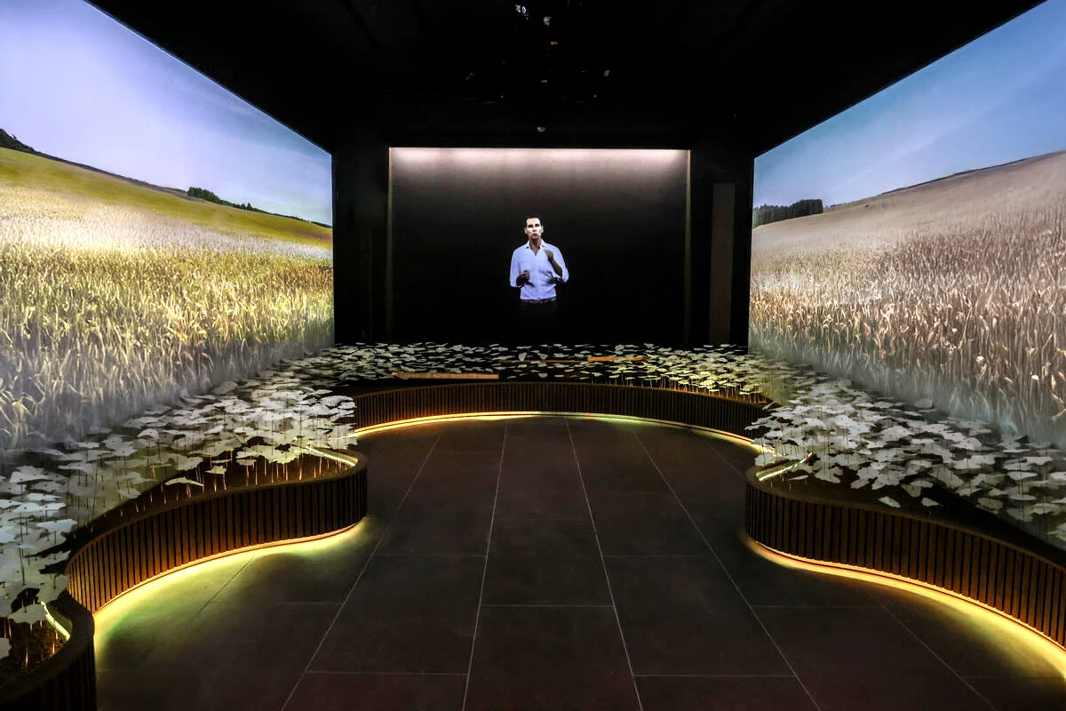 Immersive room with wheat fields projected on both side walls and a figure on a screen at the end – FAO MuNe Food and Agriculture Museum, Rome, Italy, 2025 – exhibition design