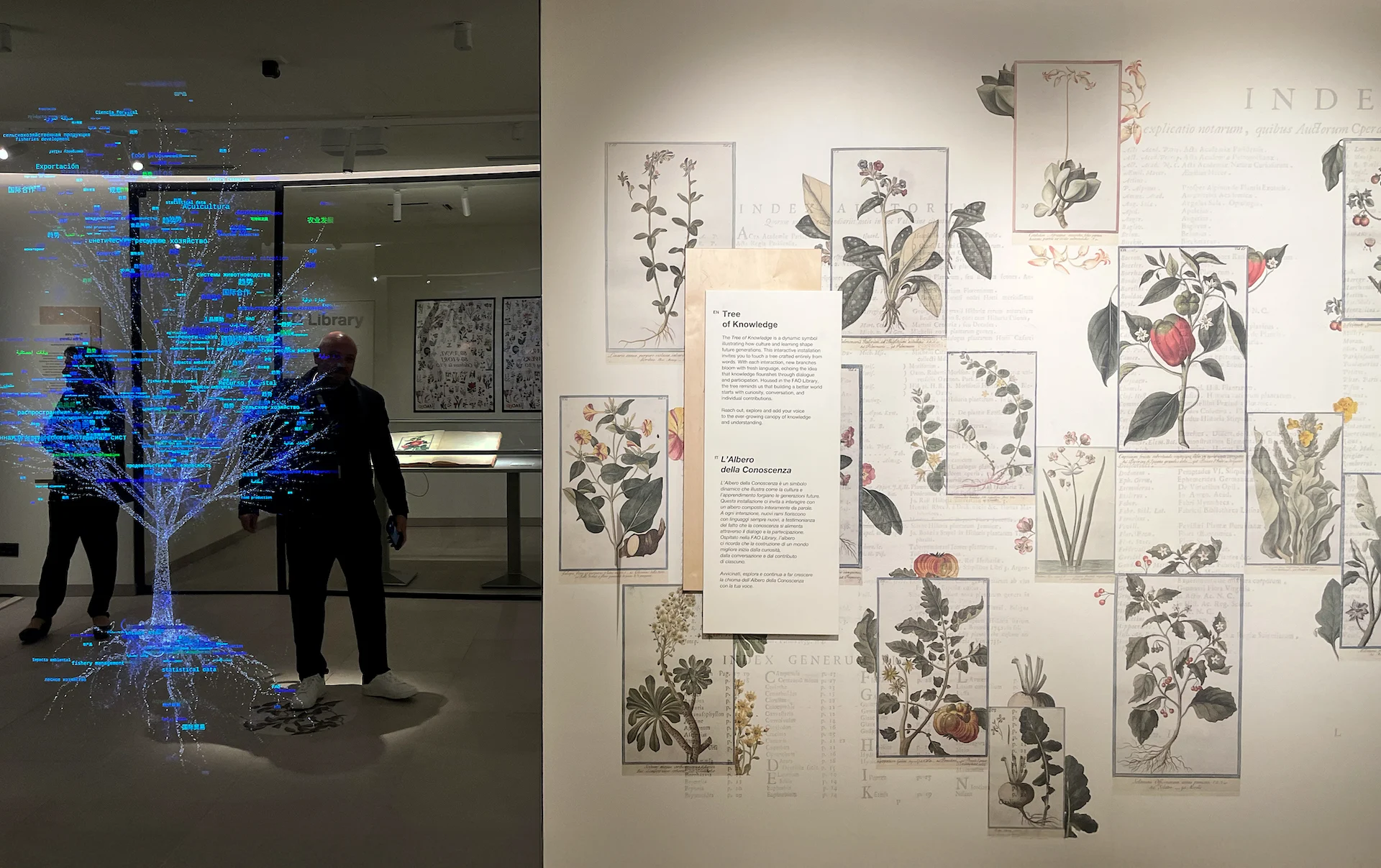 Glowing digital tree of light beside a wall of botanical illustrations and a Tree of Knowledge panel – FAO MuNe Food and Agriculture Museum, Rome, Italy, 2025 – exhibition design