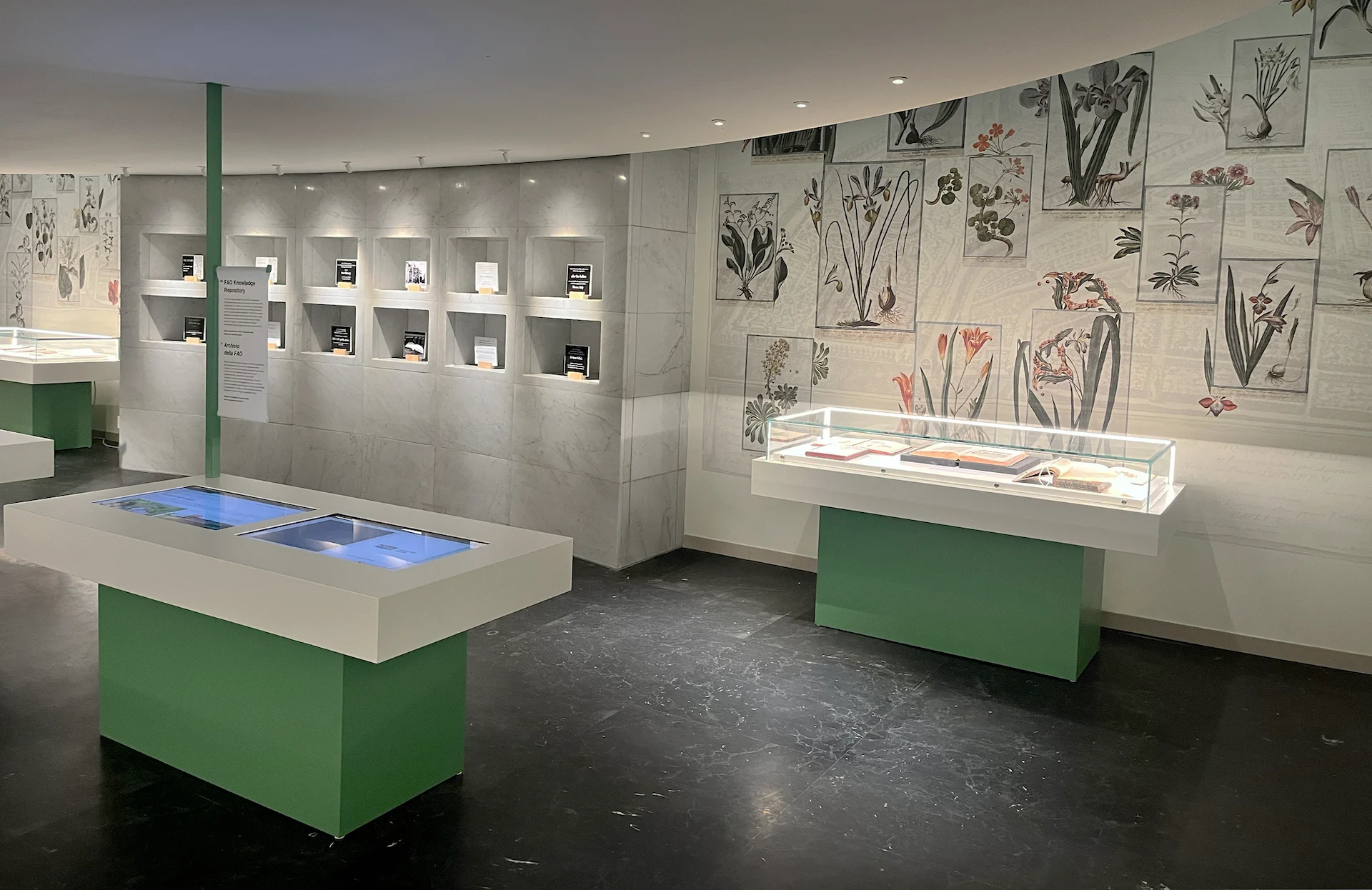 Gallery with botanical prints on curved walls, green display cases and illuminated table screens – FAO MuNe Food and Agriculture Museum, Rome, Italy, 2025 – exhibition design